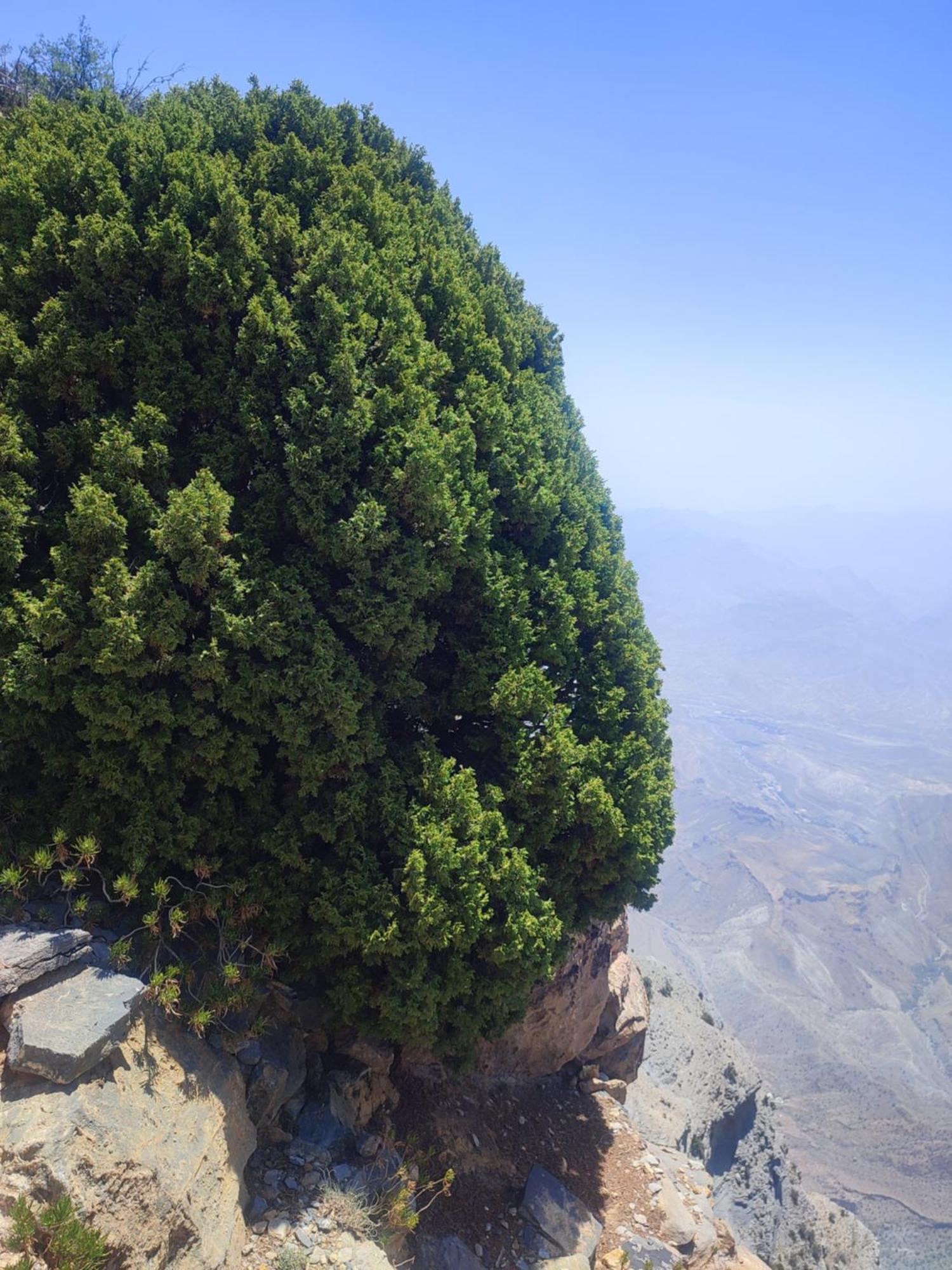 Stone rest house jebel shams Al Ḩamrāʼ Buitenkant foto